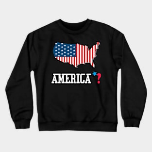 America ? Crewneck Sweatshirt